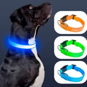 COLLAR DE MASCOTAS LED USB